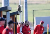 Fussball Kreisliga B 1 Bezirk Noerdlicher Schwarzwald 21/22: SV Eutingen II - FC Horb