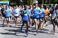 Laufen / Leichtathletik Stadtlauft / Erbelauf 2019