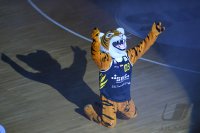 Basketball 2. Bundesliga 19/20: Tigers Tuebingen - Rostock Seawolves