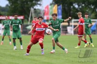 Fussball BITZER Cup U 19 Junioren 2025