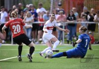 Fussball  Frauen Oberliga  23/24: TV Derendingen - VfB Stuttgart