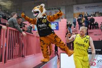 Basketball 2. Bundesliga 19/20: Tigers Tuebingen - Artland Dragons