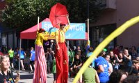 Laufen / Leichtathletik Stadtlauft / Erbelauf 2019