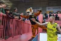 Basketball 2. Bundesliga 19/20: Tigers Tuebingen - Artland Dragons