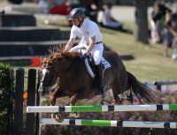 Reiten Tuebinger Landeschampionat 2015