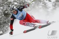 Ski Alpin; Abfahrt Training  Herren