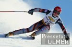 SKI   Weltcup  Abfahrt Herren ;  Klaus Krll (AUT)