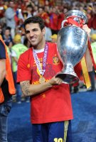 Fussball International Europameisterschaft 2012, Finale: Spanien - Italien