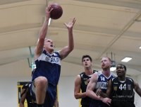 Basketball 1. Bundesliga 15/16  Testspiel Walter Tigers Tuebingen