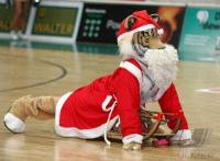 Basketball 1. Bundesliga Walter Tigers Tuebingen  - Bamberg