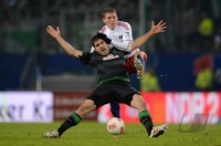 Fussball, 1. Bundesliga12/13: Hamburger SV - SV Werder Bremen