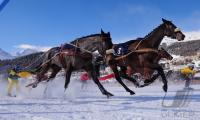 White Turf  St. Moritz 2010