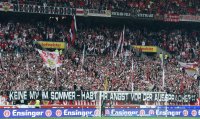 Fussball 1. Bundesliga Saison 14/15: VfB Stuttgart - SC Freiburg