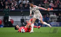 Fussball International CHL 24/25: FC Bayern Muenchen - Benfica Lissabon