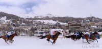 Pferdesport:  White Turf  St. Moritz 2014  Flachrennen