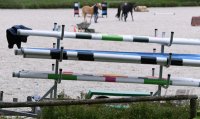 Reiten: Die Reitanlagen Tuebinger Reitgesellschaft in Zeiten von Corona