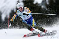 Ski Alpin  Herren Slalom  Adelboden