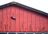 Fussball  Landesliga 2021/2022: SV 03 Tuebingen  -  SSC Tuebingen