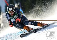 Ski Alpin  Herren Riesenslalom Adelboden