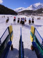 White Turf  St. Moritz 2010 FEATURE START