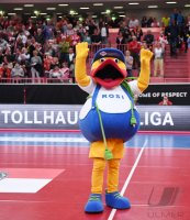 Volleyball 1. Bundesliga  Saison 18/19: TV Rottenburg - WWK Volleys Herrsching