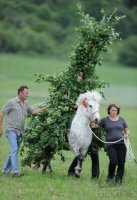 Wurmlinger  Pfingstenreiten 2011 Jahrgang 1991/92