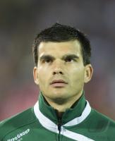 Fussball WM  2010  Qualifikation: Slowakei - Slowenien