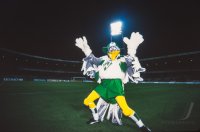 Fussball International: Pokal der Pokalsieger Saison 1994/1995: Werder - Maccabi Tel Aviv
