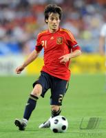 Fussball Euro 2008: Spanien, Silva