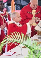 Papst Leo XIV. am Palmsonntag auf dem Petersplatz