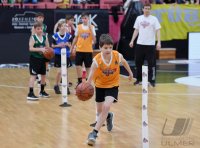 Barmer 2. Basketball Bundesliga  18/19: Tigers Tuebingen - Hamburg Towers