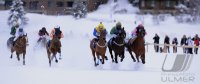 Pferdesport:  White Turf  St. Moritz 2014  Flachrennen