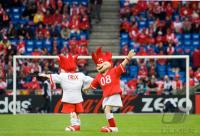 FUSSBALL EURO 2008: Schweiz - Tschechien