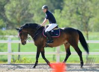 Reiten Horb-Nordstetten Turnier Mai 2012