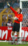 FUSSBALL BUNDESLIGA, Borussia Dortmund