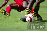 Fussball 1. Bundesliga: BVB, ALLGEMEIN, BALL UND BEINE