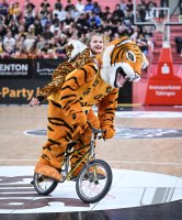 Basketball 2. Bundesliga 24/25 Walter Tigers Tuebingen - VET-CONCEPT Gladiators Trier