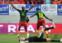 FUSSBALL INTERNATIONAL: Slowakei - Kamerun