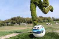 FIFA BEACH SOCCER WORLD CUP 2008