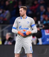 Fussball 1. Bundesliga Saison 18/19: TSG 1899 Hoffenheim - FC Schalke 04