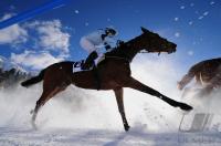 White Turf  St. Moritz 2010