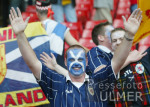 FUSSBALL Schottland -Deutschland  Schottische  Fans feiern