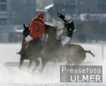 Polo  St Moritz 2005