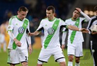 Fussball DFB Pokal Viertelfinale 13/14: TSG 1899 Hoffenheim - VfL Wolfsburg