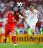 FUSSBALL EURO 2008: Oesterreich - Polen