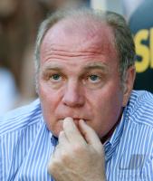 Fussball 1. Bundesliga, Bayern: HOENESS