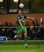 1. Fussball Bundesliga: Hugo Almeida (SV Werder Bremen)