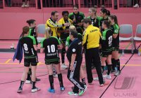 Handball 1. Bundesliga Frauen 18/19: TuS Metzingen - TV Nellingen