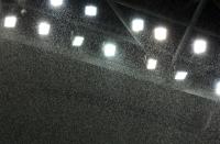 Fussball International Frauen Weltmeisterschaft