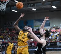 Basketball 2. Bundesliga 24/25 Walter Tigers Tuebingen - BBC Bayreuth